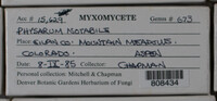 Image Associated With the Occurence